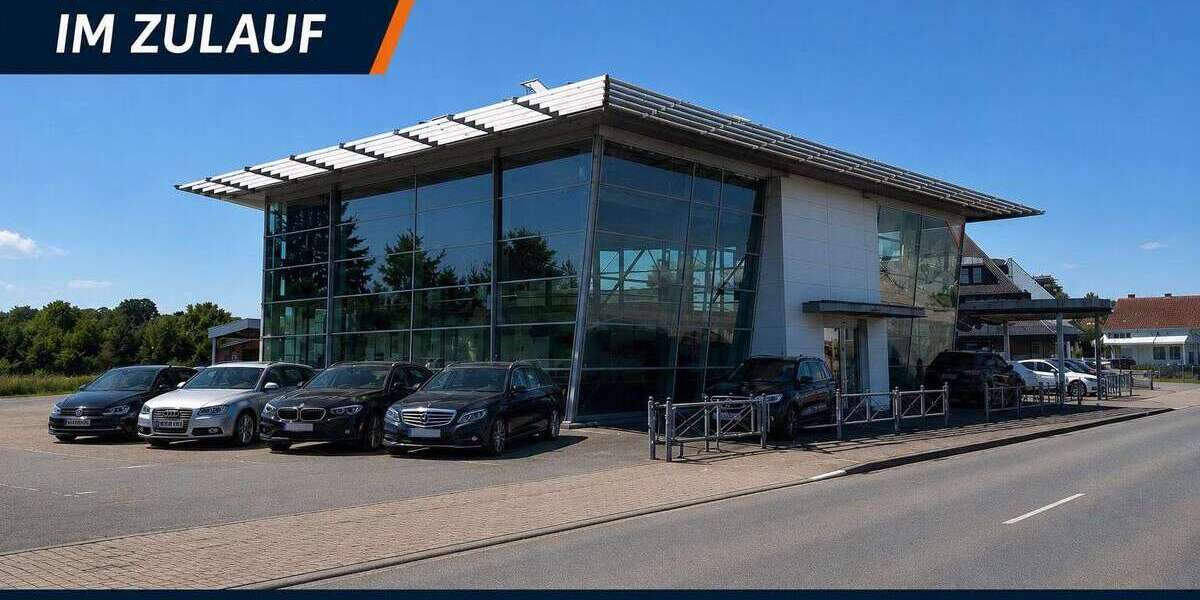 Tesla Model X 203.999 km 35.999 &euro; Lübbecke 32312