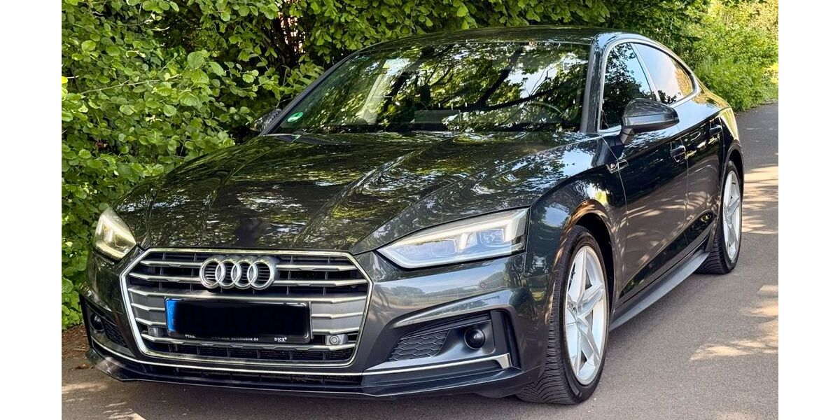 Audi A5 255.000 km 16.700 &euro; Lubbecke 32312